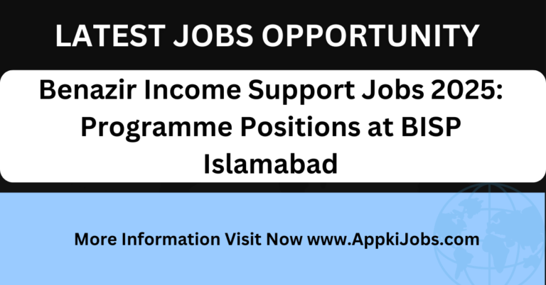 Benazir Income Support Jobs 2025
